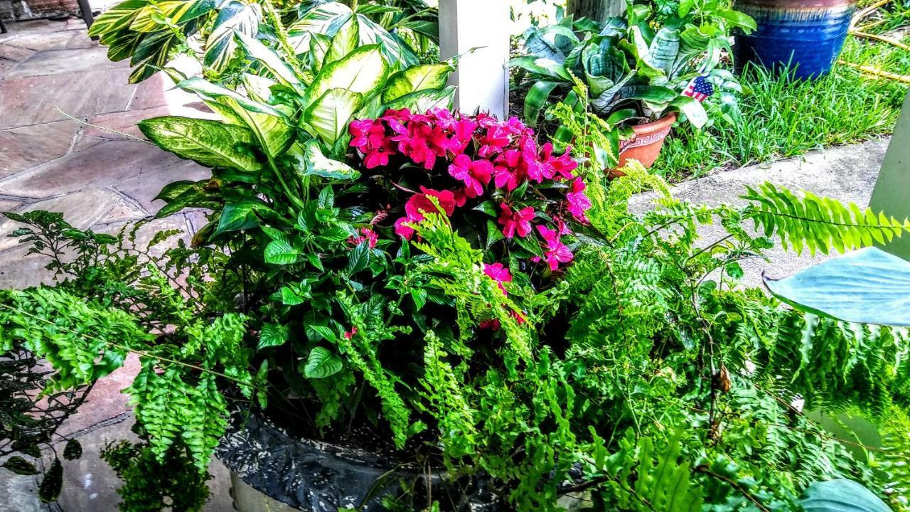 Boca Ciega Bay Apartment St. Pete Beach Luaran gambar
