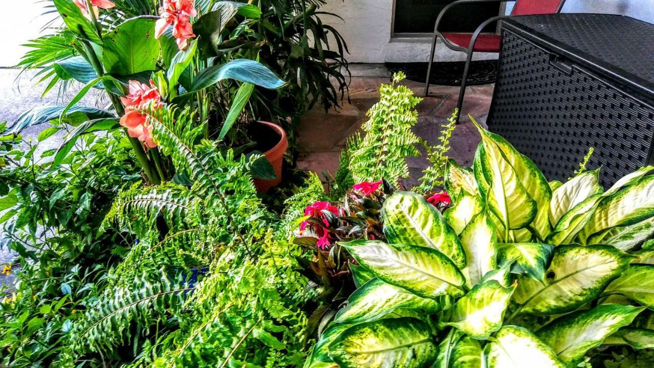 Boca Ciega Bay Apartment St. Pete Beach Luaran gambar